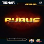Tibhar - Aurus